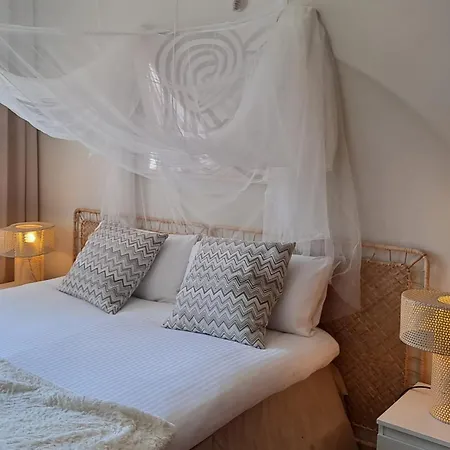 Noctua 039 Paraiso Alto 1 Estepona