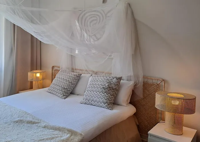 Noctua 039 Paraiso Alto 1 에스테포나