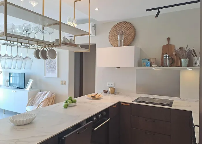 Noctua 039 Paraiso Alto 1